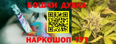 spice Гай