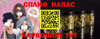 спайс Гагарин
