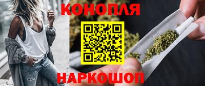 spice Гай