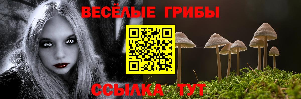 Галлюциногенные грибы мицелий  Вход с VPN  где найти   Заринск 